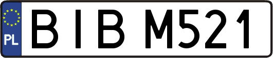 BIBM521