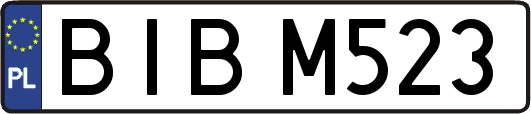 BIBM523