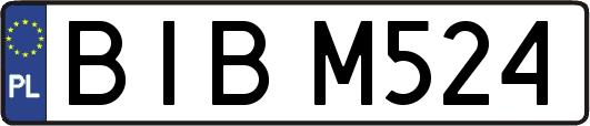 BIBM524