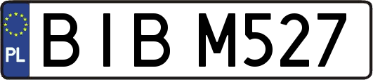 BIBM527