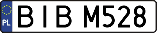 BIBM528