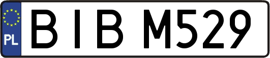 BIBM529