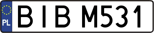 BIBM531