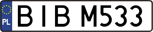 BIBM533