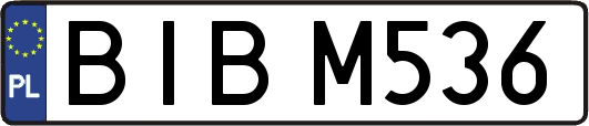 BIBM536