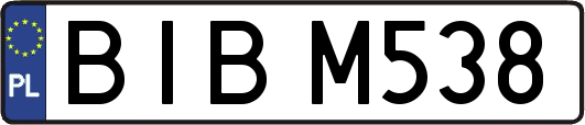 BIBM538
