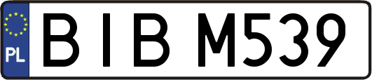 BIBM539
