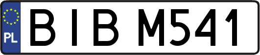 BIBM541