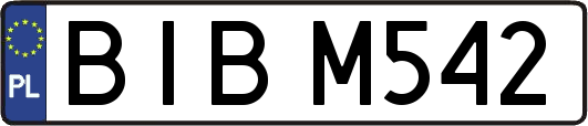 BIBM542