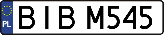 BIBM545