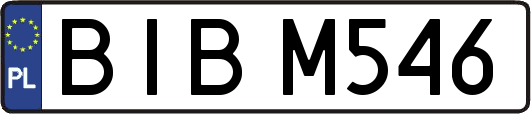 BIBM546