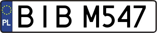 BIBM547