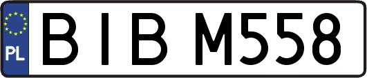 BIBM558