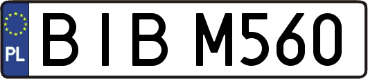 BIBM560