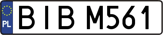 BIBM561