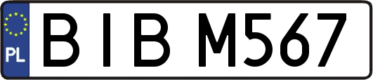 BIBM567