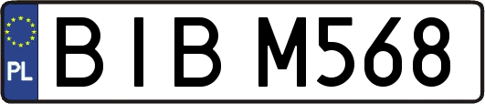 BIBM568