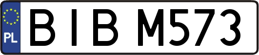 BIBM573