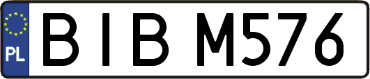 BIBM576
