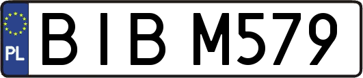 BIBM579