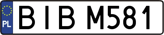 BIBM581
