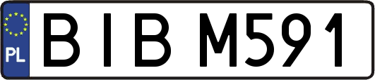 BIBM591