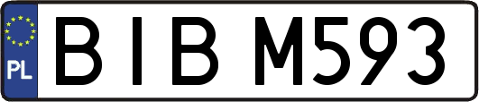 BIBM593