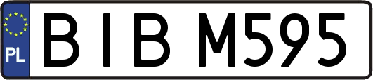 BIBM595