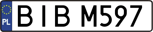 BIBM597
