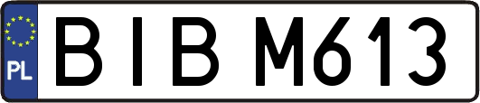 BIBM613