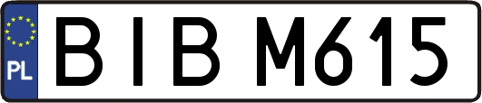 BIBM615