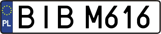 BIBM616