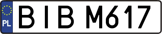 BIBM617