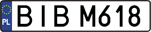 BIBM618