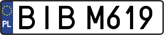BIBM619