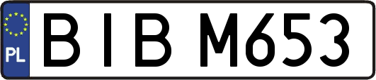 BIBM653