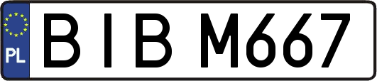 BIBM667