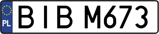 BIBM673
