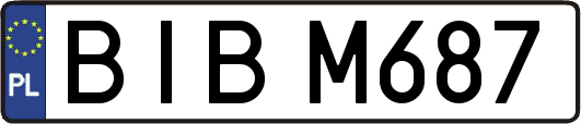 BIBM687