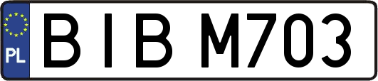 BIBM703