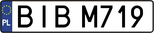 BIBM719