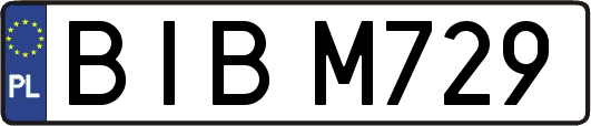 BIBM729