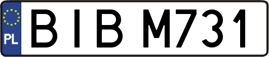 BIBM731