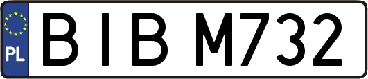 BIBM732