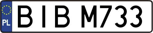 BIBM733