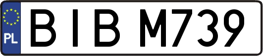 BIBM739