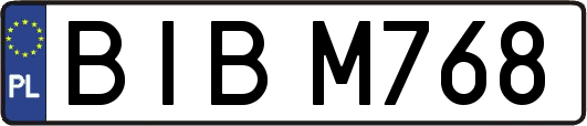 BIBM768