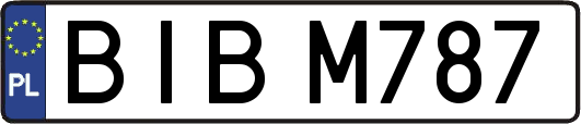 BIBM787
