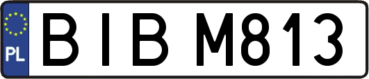 BIBM813