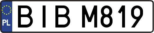 BIBM819